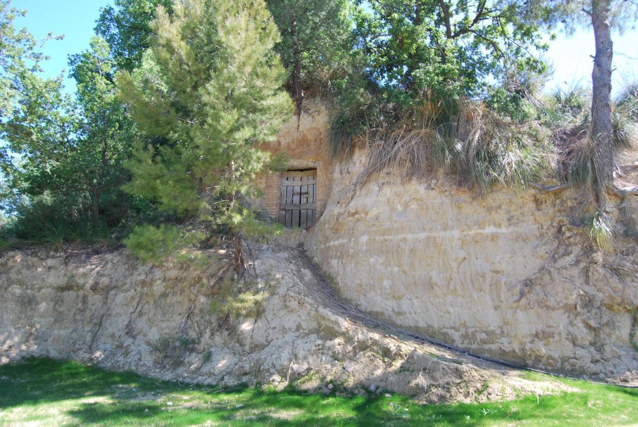 B&B La Casa Di G.G. Grottammare Exterior photo
