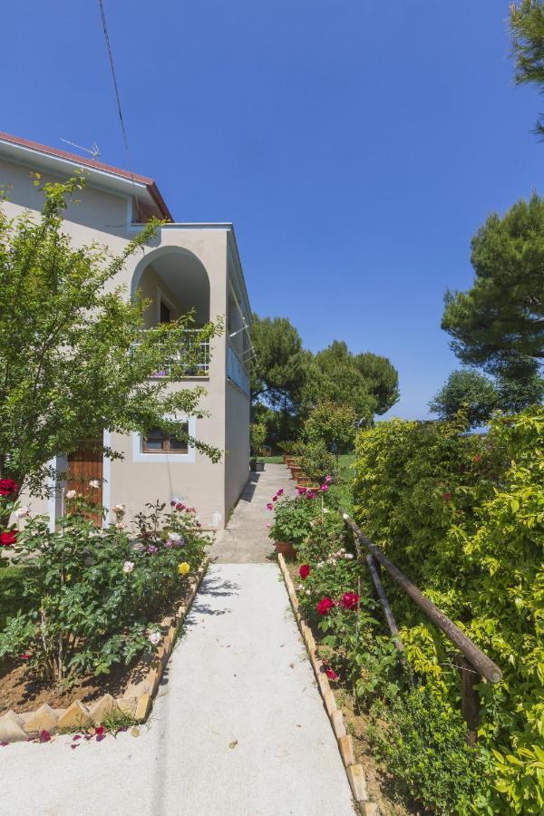 B&B La Casa Di G.G. Grottammare Exterior photo
