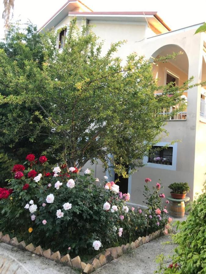 B&B La Casa Di G.G. Grottammare Exterior photo